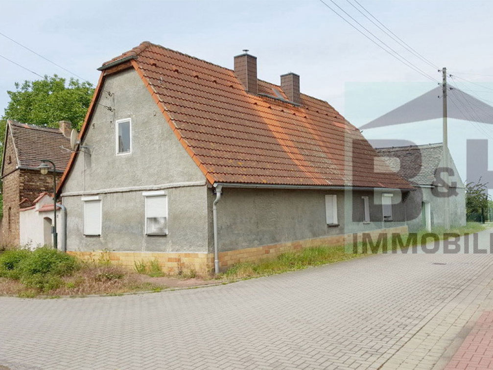 Bauernhaus bei Zörbig