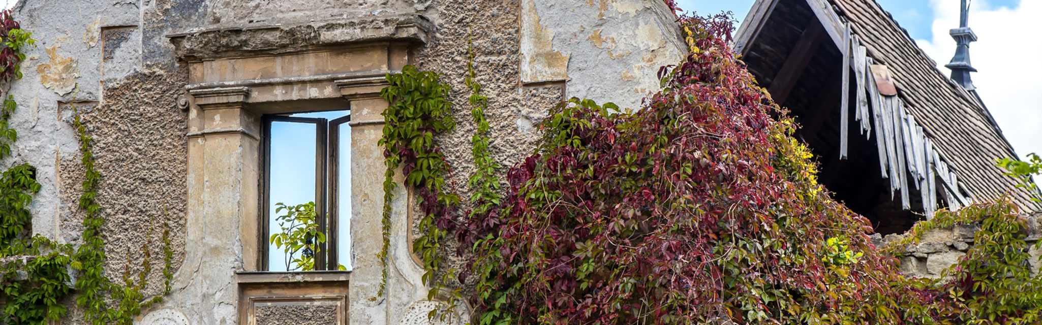 Wir helfen Ihnen bei Ihrer Suche nach Wohnungen in Bitterfeld-Wolfen und Umgebung